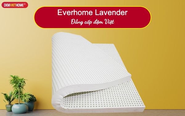 Đệm cao su thiên nhiên Everhome Lavender