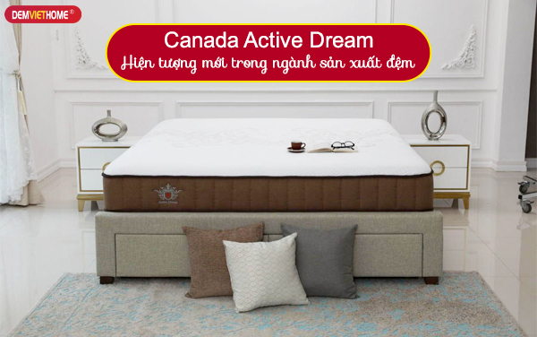 Đệm lò xo Canada Active Dream