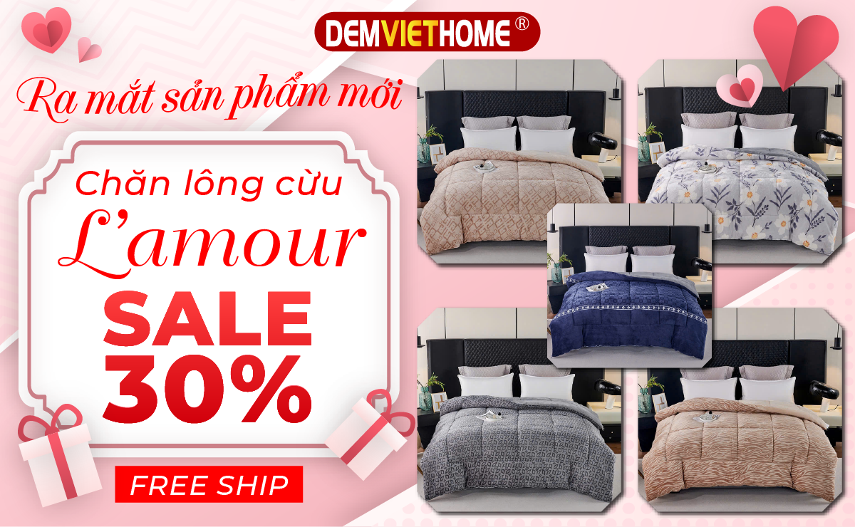 DEMVIETHOME.VN